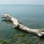 Черное море в Джубге
