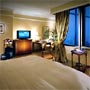 Hotel Ritz Carlton: Park View Deluxe